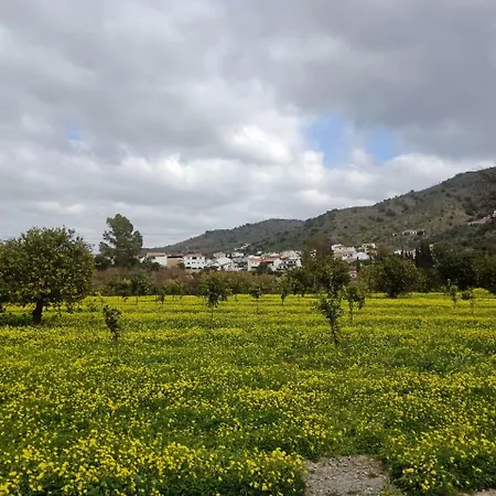 El Cielo Azul ألورا